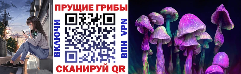 Псилоцибиновые грибы Psilocybine cubensis  hydra ONION  Старый Крым 